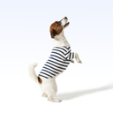 SYC_PARISIAN PUP SHIRT